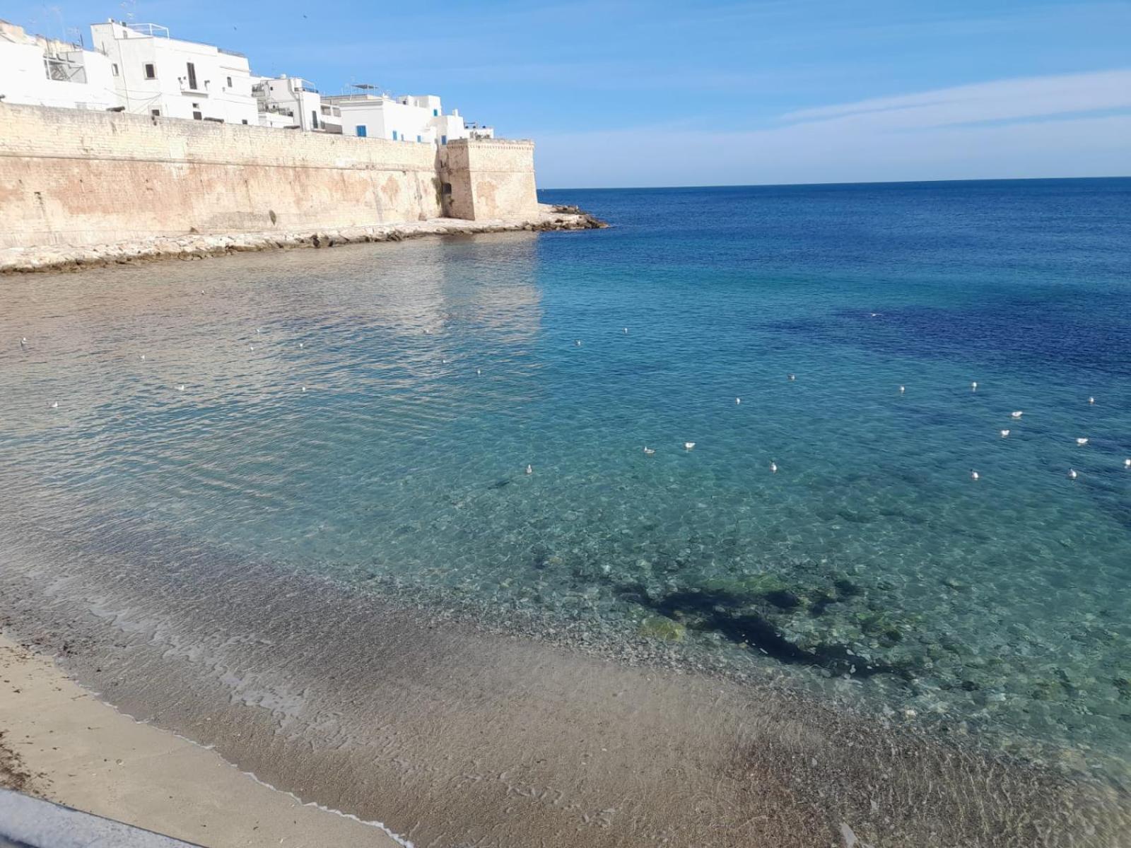 Suite Santa Caterina Monopoli Eksteriør bilde